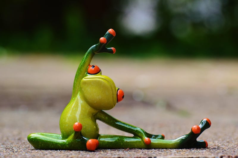 Flexibility Exercise